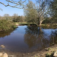 Walk and Talk. Reflections